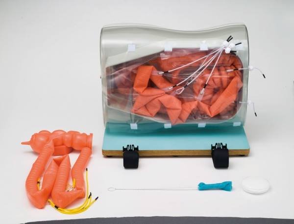 Colonoscopy Simulator