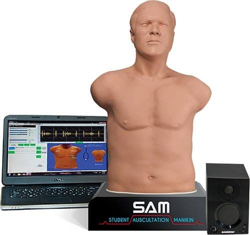 SAM 3G - The Student Auscultation Maneken - 3rd Generation